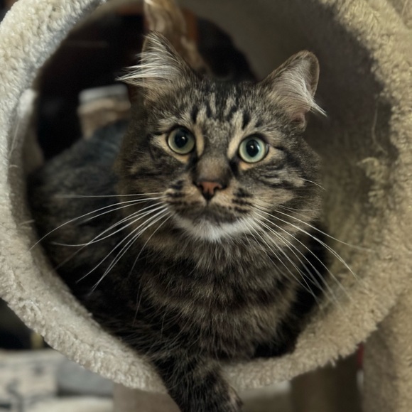 🙏🏽 THANK YOU 🙏🏽 - Picture 5 of 15